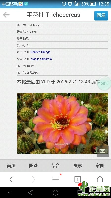 毛花柱交换安妮特或流苏，大小5公分左右，可以适当补偿差价。11448